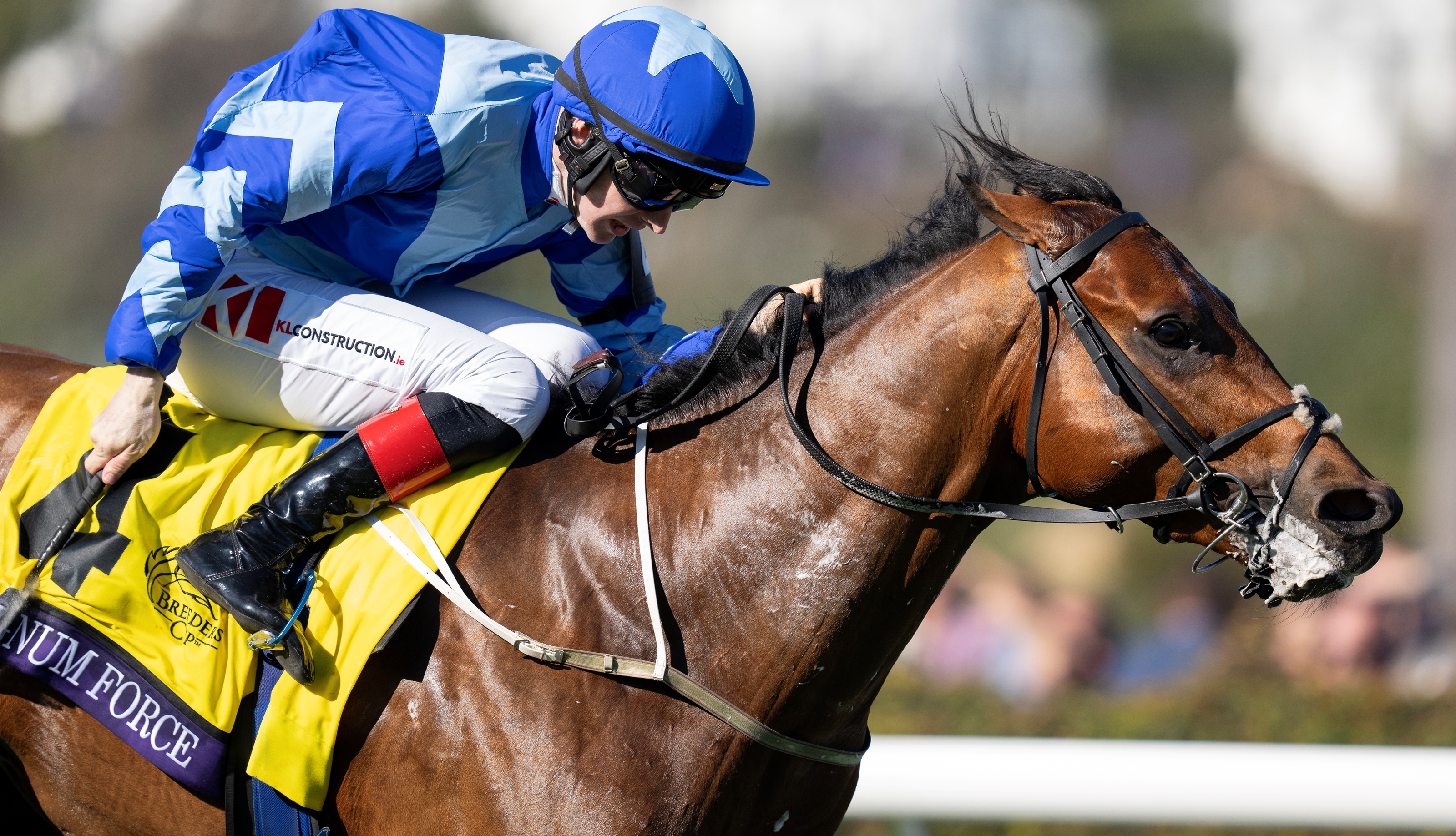 〈FEILER〉 UNITED ARROWS 別注 SPRINT HORSE FEILER〉 UNITED ARROWS 別注 SPRINT HORSE