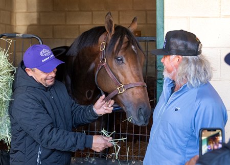 (L-R): Baldo Hernandez, Chad Brown's assistant trainer, and co-owner Brook Smith flank Sierra Leone the morning after his victory in the Breeders' Cup Classic at Del Mar