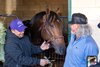 Breeders’ Cup Classic winner Sierra Leone has a playful moment with trainer Chad Brown’s assistant Baldo Hernandez and part owner Brook Smith the morning after the win at Del Mar Race Track Sunday November 3, 2024  in San Diego, CA.    Photo by Skip Dickstein 