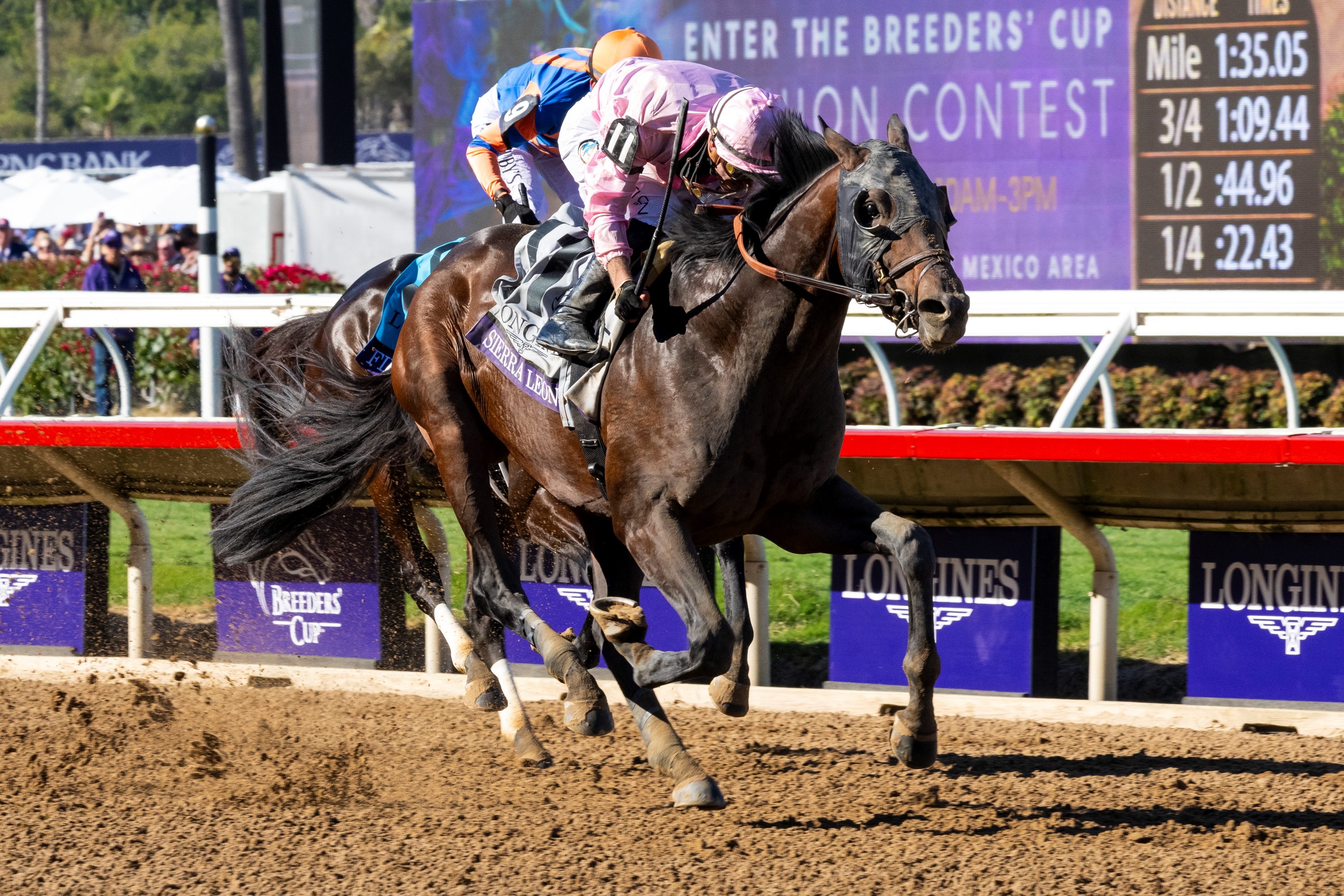 2024 BREEDERS' CUP まとめセット 2024 BREEDERS' CUP まとめセット 2024 BREEDERS' CUP まとめセット