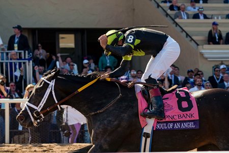 Soul of an Angel wins the Breeders' Cup Filly & Mare Sprint at Del Mar