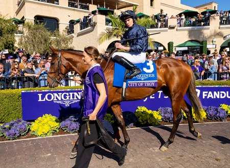 City of Troy, pictured at Del Mar for the Breeders' Cup Classic, will stand for €75,000  in 2025 at Coolmore Stud in Ireland