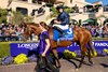 City of Troy with Ryan Moore in the paddock before the Breeders’ Cup Classic (G1) at Del Mar Racetrack in Del Mar, CA on November 2, 2024.