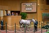 Hip 198, Roses for Debra at Candy Meadows, Agent
Keeneland Breeding Stock Sale at Keeneland in Lexington, Ky., on Nov. 5, 2024. 