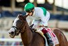 Augustin Stables&#39; Will Then and jockey Vincent Cheminaud win the Grade III $100,000 Jimmy Durante Stakes Saturday November 30, 2024 at Del Mar Thoroughbred Club, Del Mar, CA.
Benoit Photo