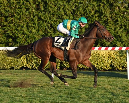 Integration wins the Red Smith Stakes at Aqueduct Racetrack