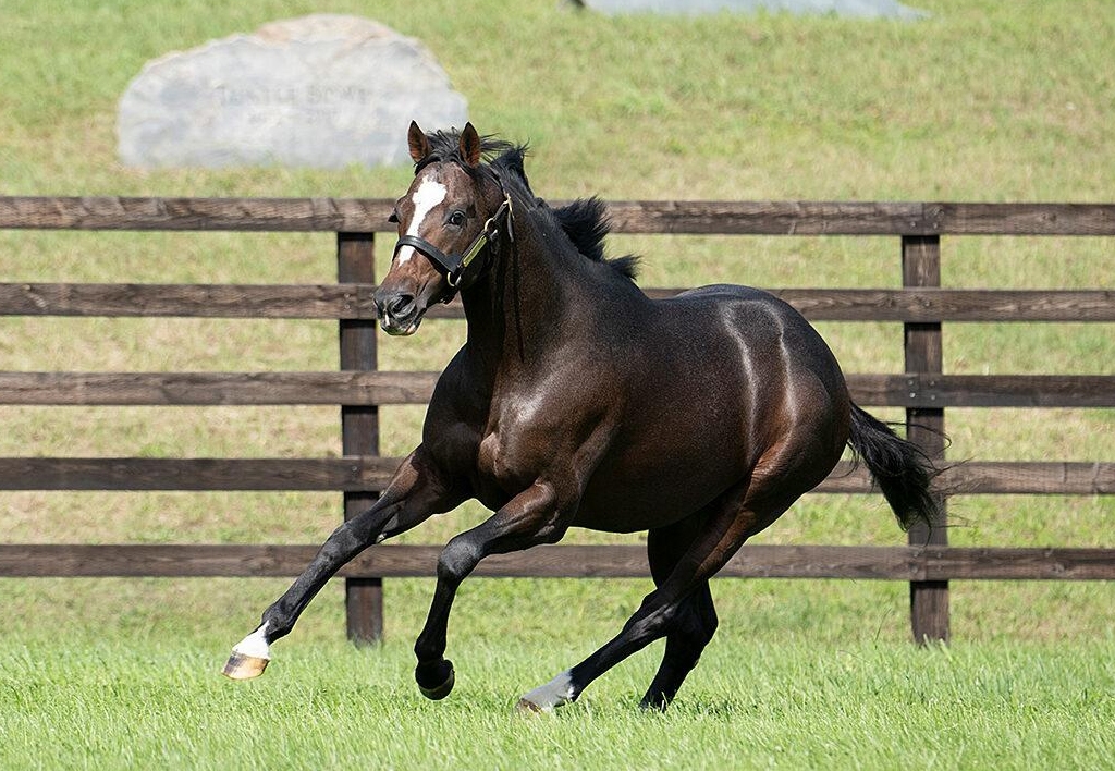 410f7dfd1aef45f3b6893d613bee7b