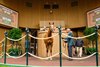 Hip 4066 Alyeska from Gainesway
Keeneland breeding stock sale at Keeneland near Lexington, Ky., on Nov. 13, 2024. 