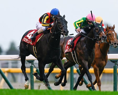 Croix du Nord wins the Hai Nisai Stakes at Tokyo Racecourse