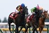 Croix du Nord wins the 2024 Tokyo Sports Hai Nisai Stakes at Tokyo Racecourse 
trained by Takashi Saito and ridden by Yuichi Kitamura