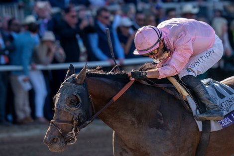 There’s no denying Sierra Leone at the Breeders’ Cup Classic