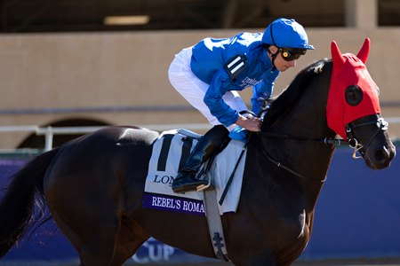 Rebel's Romance wins the Breeders' Cup Turf at Del Mar