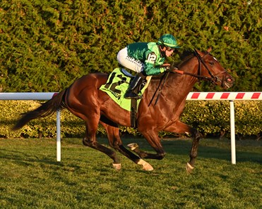 George Brigham Racing George Briggs - Horse Profile - BloodHorse