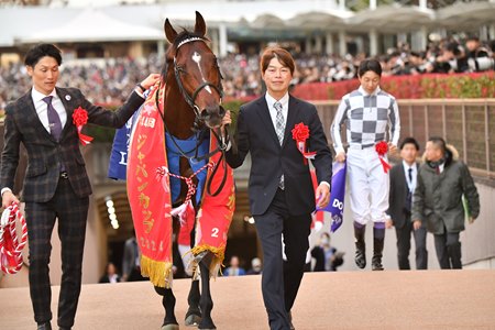 Do Deuce is led from the track after winning the Japan Cup at Tokyo Racecourse