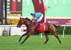 Romantic Warrior and jockey James McDonald romp to victory in the 2024 Jockey Club Cup at Sha Tin Racecourse