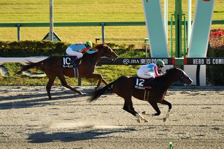 Natural Rise wins the Cattleya Stakes at Tokyo Racecourse