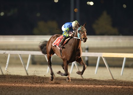 Senor Buscador wins the 2020 Remington Springboard Mile Stakes at Remington Park