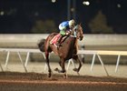 Senor Buscador, shown winning the Springboard Mile at Remington Park in 2020, will attempt the $7 Million Breeders’ Cup Classic at Del Mar near San Diego on Saturday, Nov. 2.
Credit: Dustin Orona Photography/Remington Park