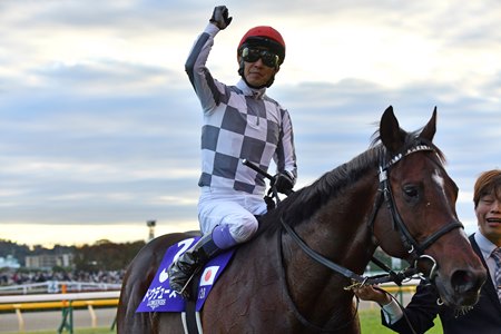 Do Deuce after his victory in the Japan Cup at Tokyo Racecourse