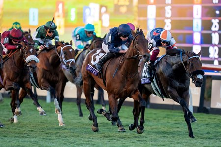 Iron Mal Cal (inside), one of 10 3-year-olds in the Oceanside Stakes, finishes second to Henri Matisse in the 2024 Breeders' Cup Juvenile Turf at Del Mar