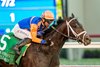 Bullard and jockey Umberto Rispoli win the Grade III $100,000 Bob Hope Stakes Sunday, November 17, 2024 at Del Mar Thoroughbred Club, Del Mar, CA
Benoit Photo