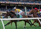 Goliad leads the Breeders&#39; Cup Mile (G1T) at Del Mar Racetrack in Del Mar, CA on November 2, 2024
More Than Looks won the race, Goliad finished 9th