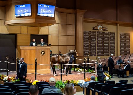 Hip 26, a Flightline colt, sells for $675,000 to David Ingordo at the Fasig-Tipton November Sale