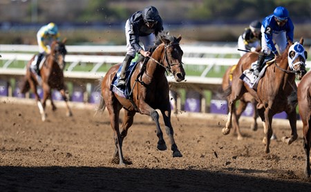 Unplaced City of Troy - Horse Profile - BloodHorse