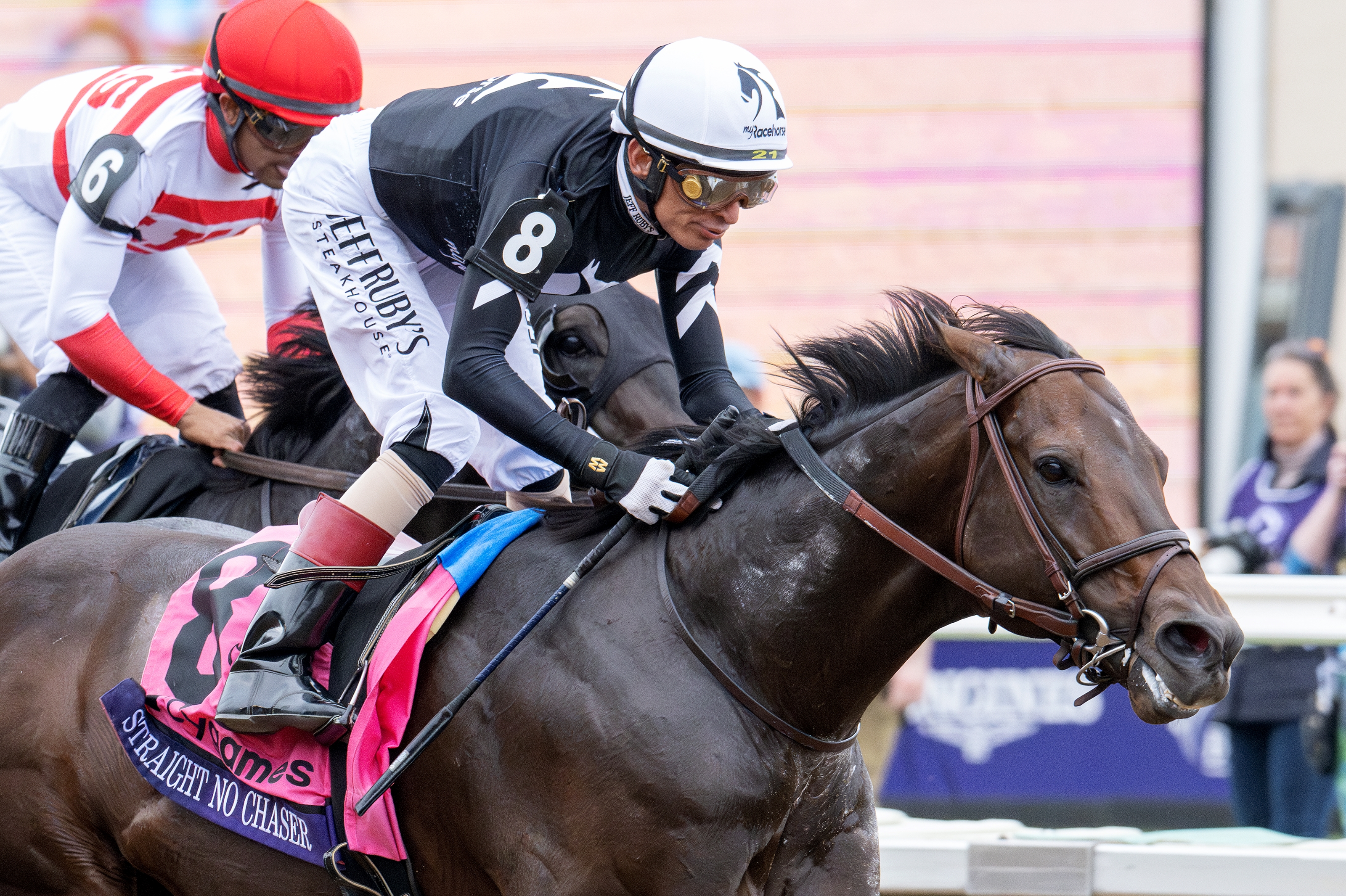 2024 BREEDERS' CUP まとめセット 2024 BREEDERS' CUP まとめセット 2024 BREEDERS' CUP まとめセット