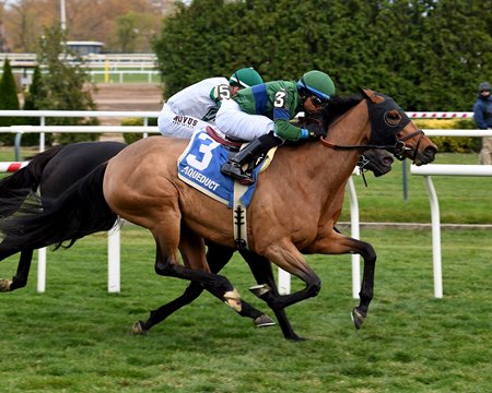 Venencia wins the 2024 Forever Together Stakes at Aqueduct Racetrack