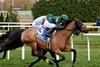 Venencia wins the 2024 Forever Together Stakes at Aqueduct Racetrack