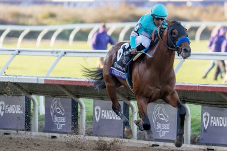 Citizen Bull wins the 2024 Breeders' Cup Juvenile at Del Mar