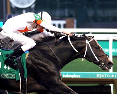 Gulfport wins the 2024 Bet on Sunshine Stakes at Churchill Downs