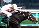 Gulfport wins the The Bet On Sunshine Stakes at Churchill Downs on November 2, 2024