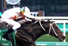 Gulfport wins the The Bet On Sunshine Stakes at Churchill Downs on November 2, 2024