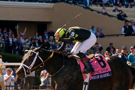 Soul of an Angel wins the Breeders' Cup Filly & Mare Sprint at Del Mar