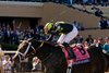 Soul of an Angel and Drayden Van Dyke win the Filly &amp; Mare Sprint (G1) at Del Mar Racetrack in Del Mar, CA on November 2, 2024.