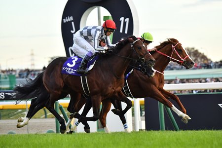 The JRA's most watched YouTube video of 2024 came from a camera worn by jockey Yutaka Take (orange cap) aboard Do Deuce in the Japan Cup at Tokyo Racecourse