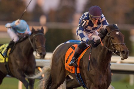 Somethinabouther wins the Mazarine Stakes at Woodbine 