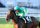 Integration wins the 2024 Red Smith Stakes at Aqueduct Racetrack