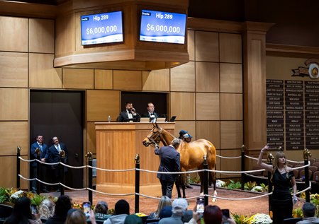 Hip 289, McKulick sold for $6 million to Narvick International/ Grand Stud