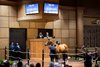 Hip 289 McKulick consigned by Elite to The November Sale at Fasig-Tipton in Lexington, Ky. on November 4, 2024.