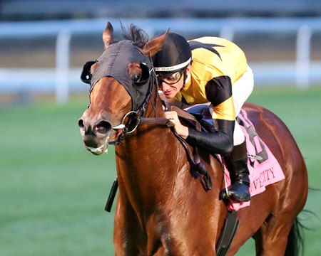 Battle of Normandy wins the River City Stakes at Churchill Downs