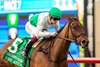 Mrs. Astor and jockey Vincent Cheminaud win the Grade III, $100,000 Red Carpet Stakes, Sunday, November 24, 2024 at Del Mar Thoroughbred Club, Del Mar CA.
&#169; BENOIT PHOTO