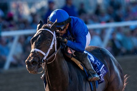 Immersive wins the Breeders' Cup Juvenile Fillies at Del Mar