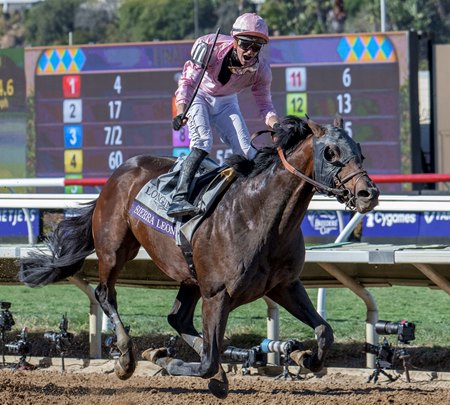 Sierra Leone wins the 2024 Breeders' Cup Classic at Del Mar