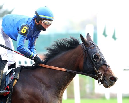 Loved wins the Falls City Stakes at Churchill Downs