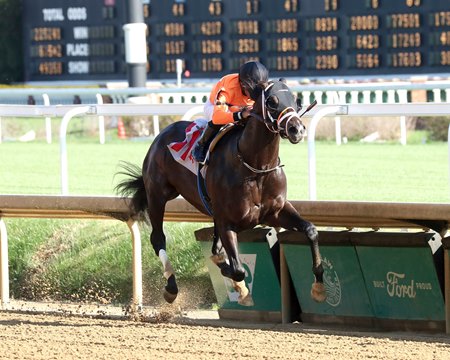 Guns Loaded breaks his maiden at Churchill Downs