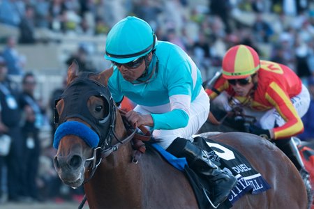 Citizen Bull wins the Breeders' Cup Juvenile at Del Mar