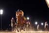 Mister Omaha wins the 2024 Don C. McNeill Stakes at Remington Park